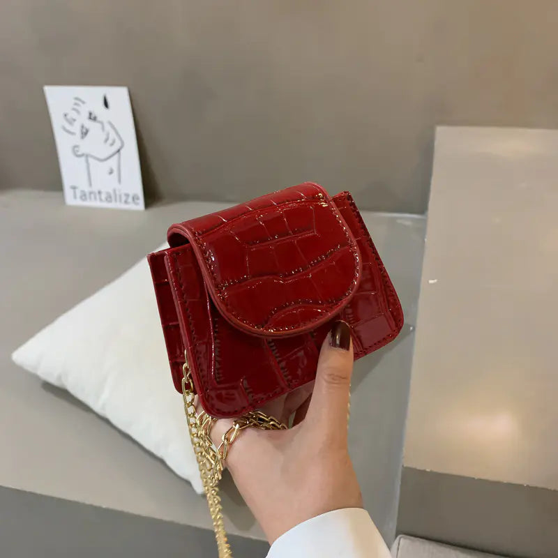 Mini Stylish Women's Bag with Chain Shoulder Strap