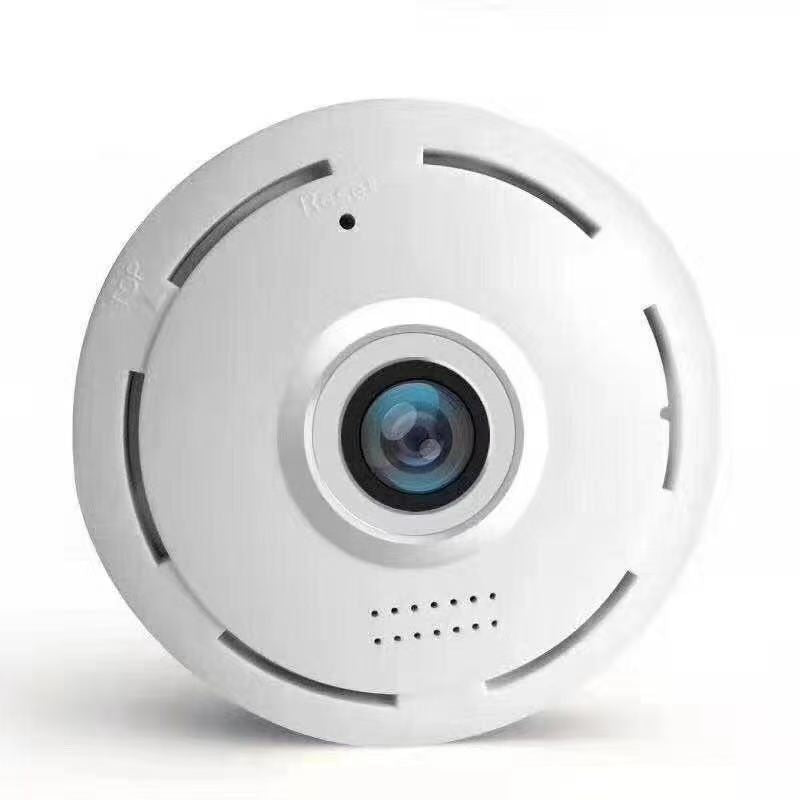 Round dome-style surveillance camera panoramic